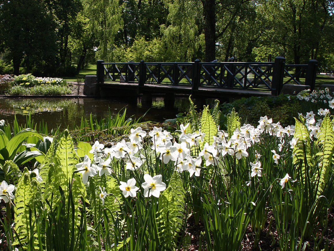 The Palace Park (Slottsparken)